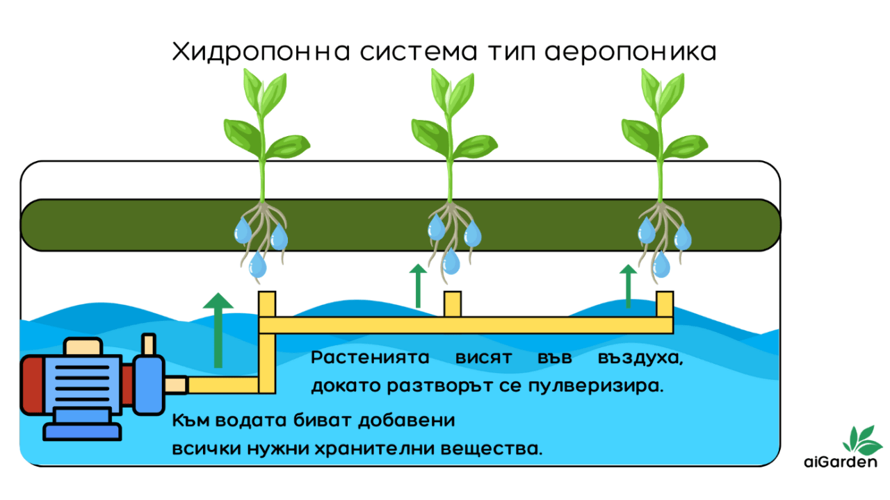 Инфографика на хидропонна система тип аеропоника.