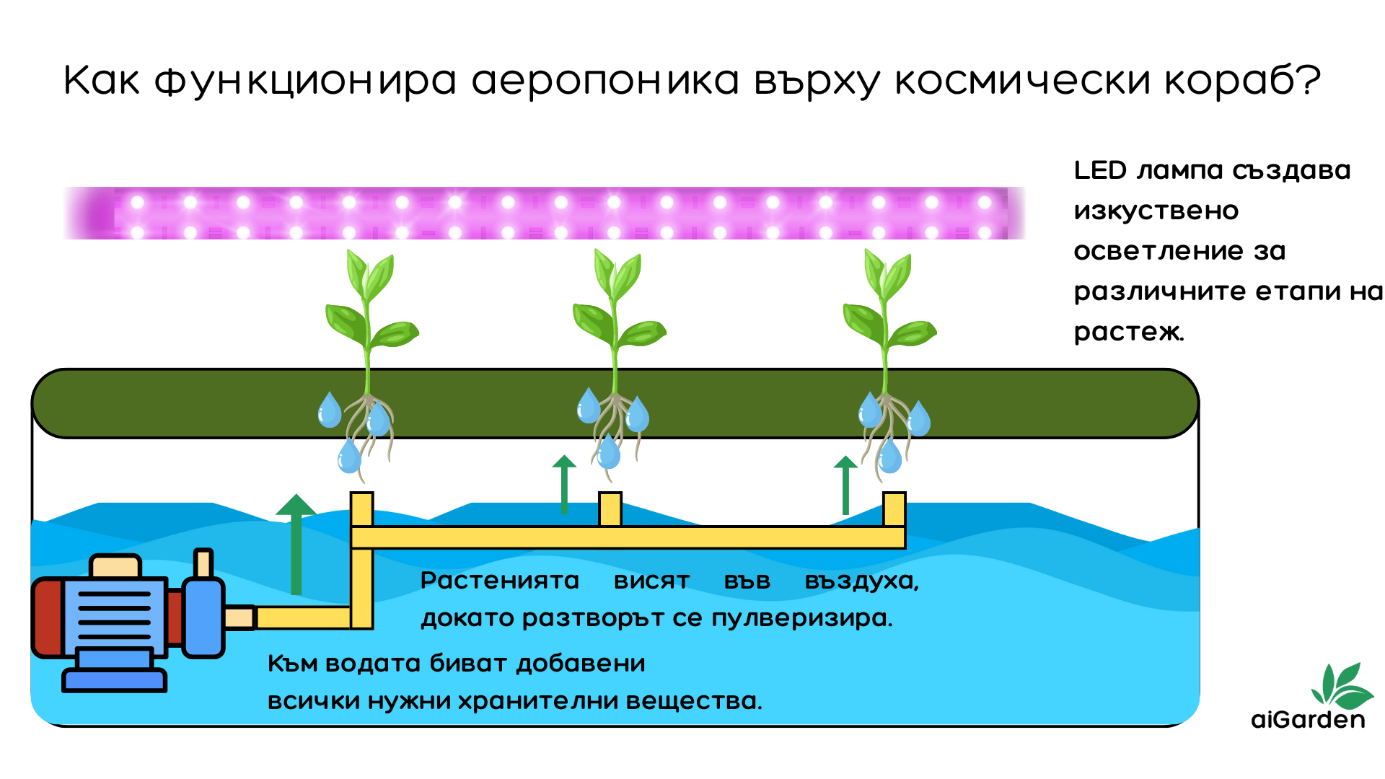 Аеропоника в космоса: Графика, изобразяваща процеса на работа.