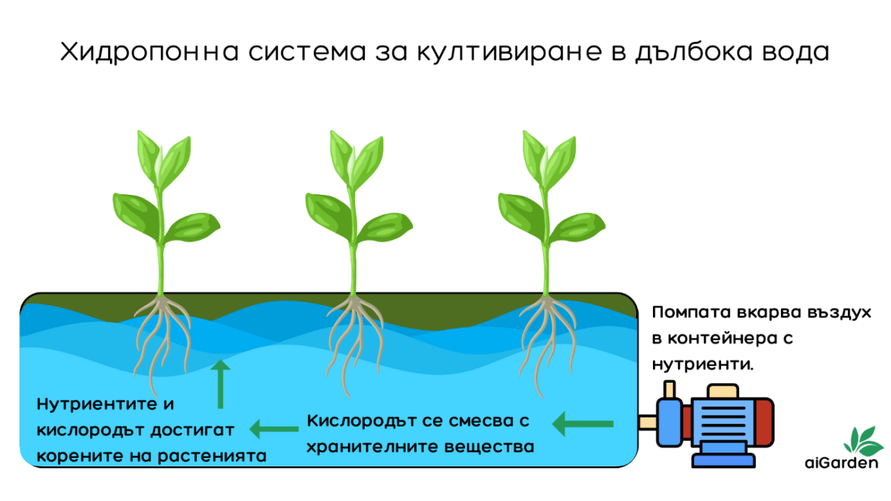 Хидропонна система за култивиране в дълбока вода