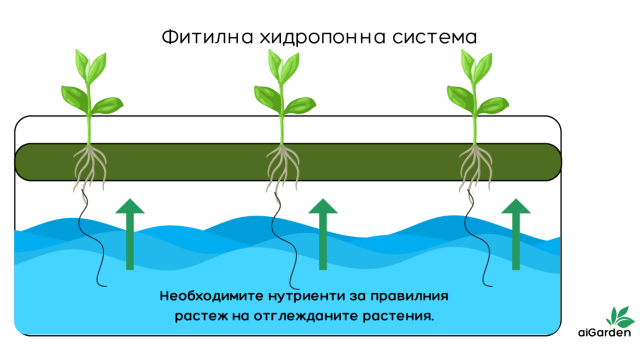 Фитилна хидропонна система