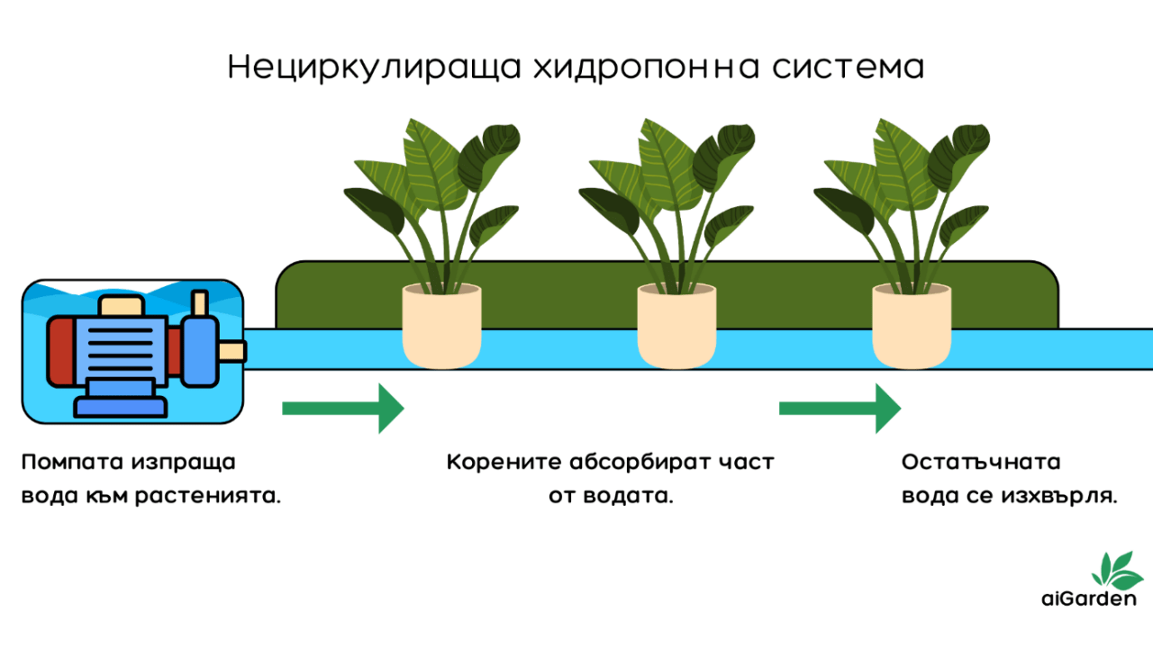 Инфографика за нециркулираща хидропонна система.