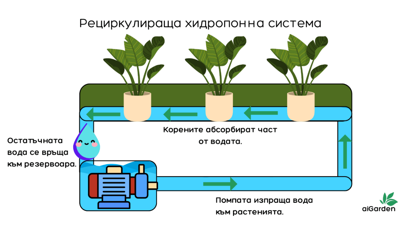 Инфографика на възобновяема (рециркулираща) хидропонна система.