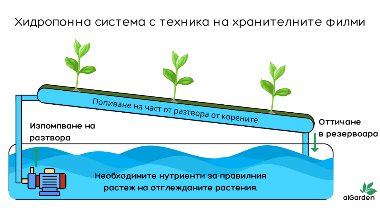 Система с техника на хранителните филми